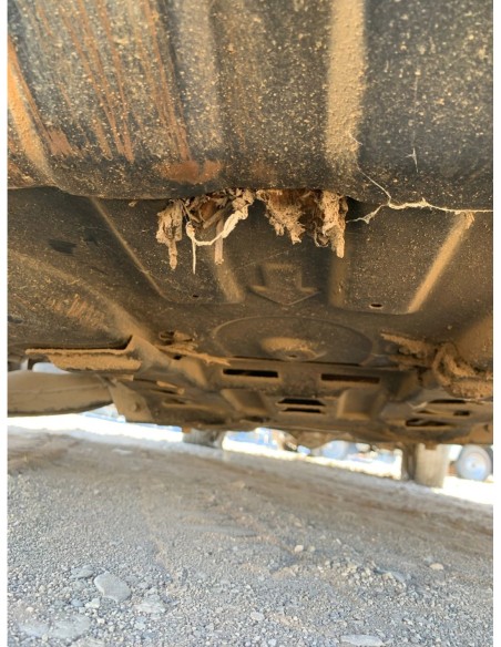 CHEVROLET DMAX 2018%separator% %shop-name%