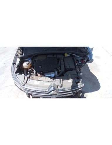 CITROEN C4 2019%separator% %shop-name%