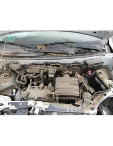 SUZUKI ALTO 2019%separator% %shop-name%