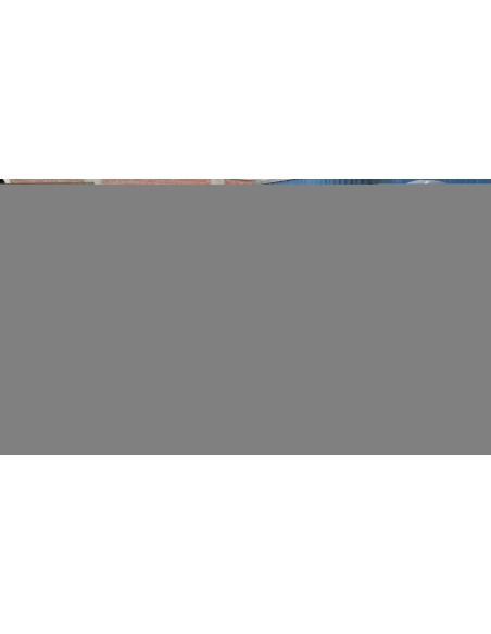 6 MECANICA BENCINERO