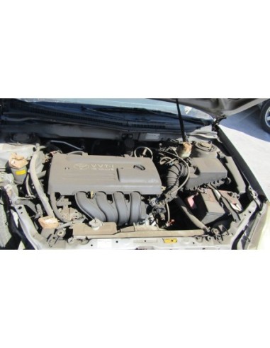 6 AUTOMATICO BENCINERO