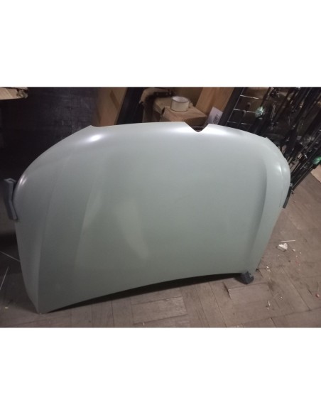 CAPOT CITROEN CELYSEE 2013 - 2024 PARA PINTAR